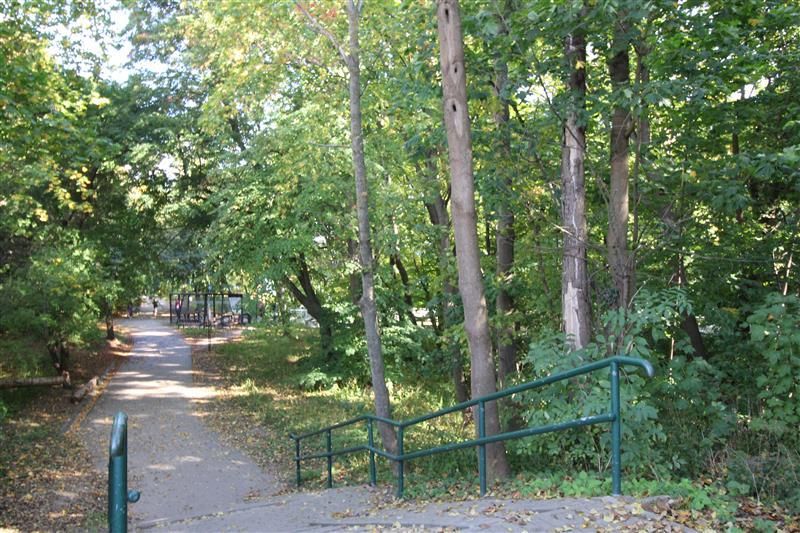 Gdynia Orłowo pas nadmorski: zdjecie 99566117
