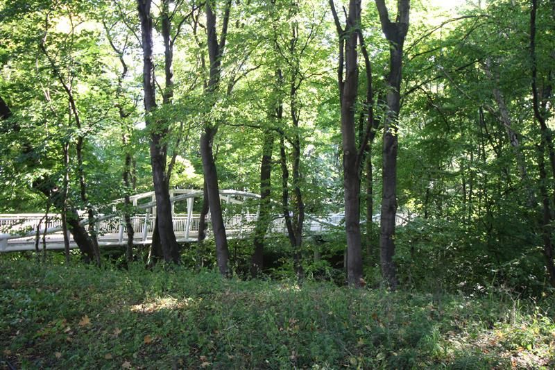 Gdynia Orłowo pas nadmorski: zdjecie 99566118