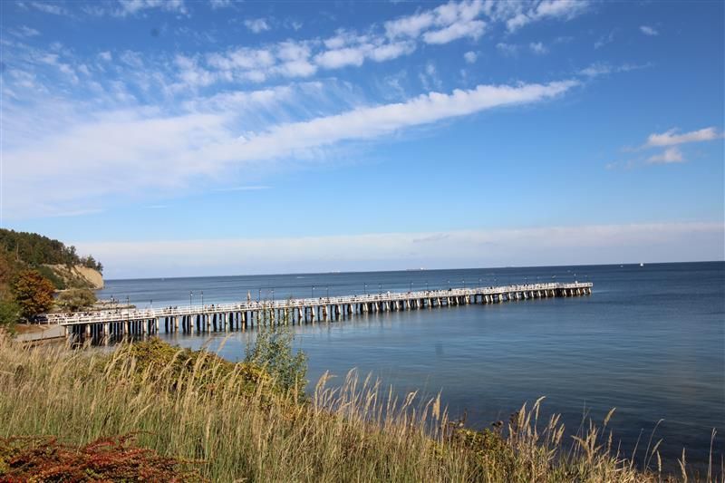 Gdynia Orłowo pas nadmorski: zdjecie 99566121