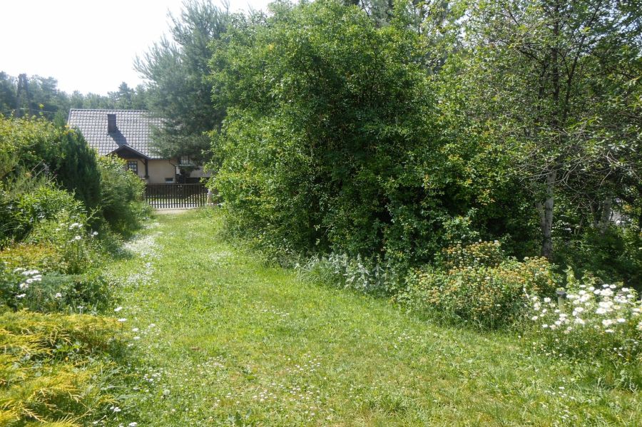 Dom do remontu, z osobnym mieszkaniem, duża działka: zdjecie 99573339