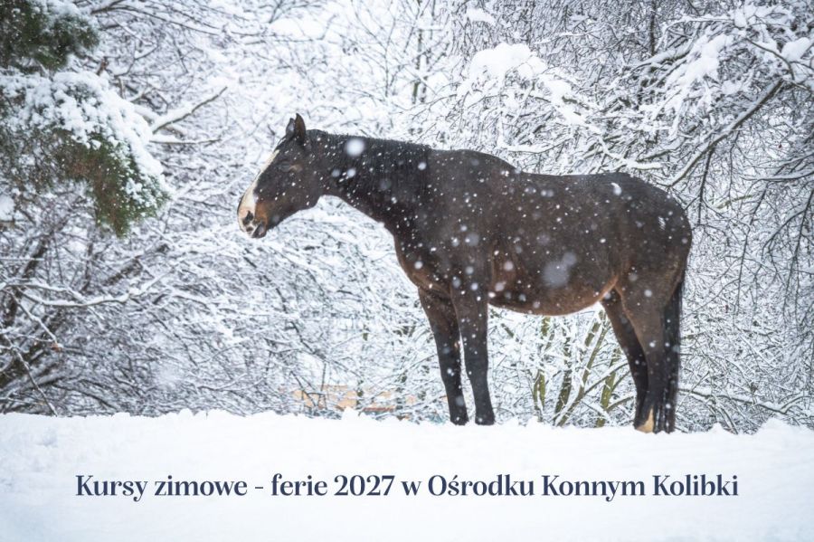 Zimowe kursy z końmi - ferie 2027