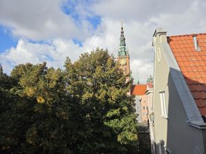 Wyjątkowy apartament inwestycyjny przy ul. Długiej.: zdjecie 66555356