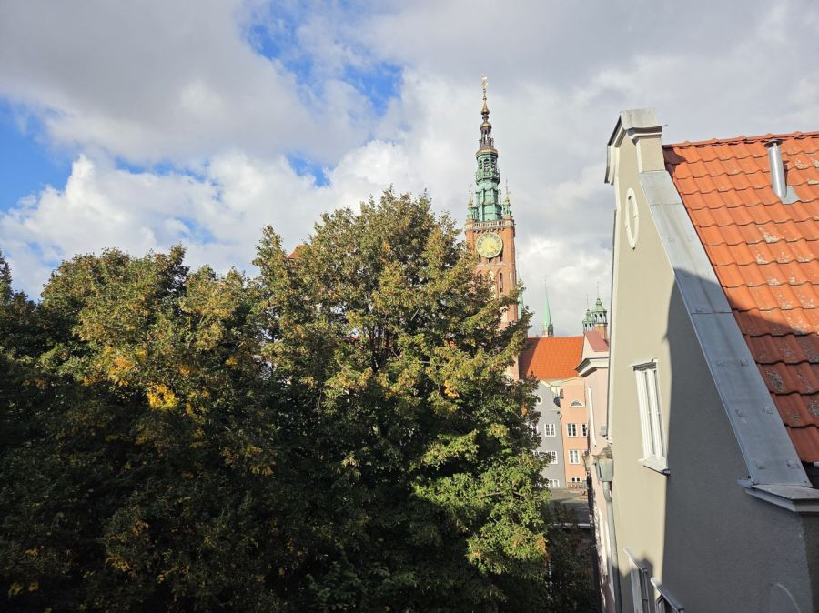 Wyjątkowy apartament inwestycyjny przy ul. Długiej.: zdjecie 99577021