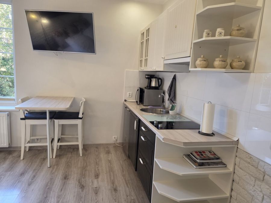 Wyjątkowy apartament inwestycyjny przy ul. Długiej.: zdjecie 99577024