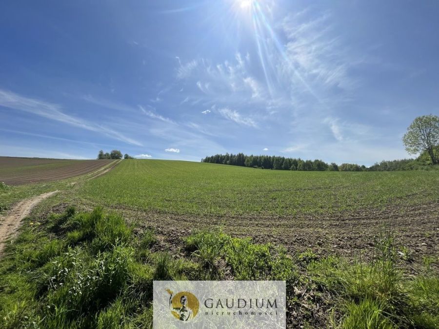 Działka z Warunkami Zabudowy 2138 m2 | Zła Wieś