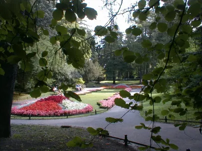 Park Oliwski
