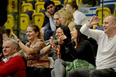 Kibice
