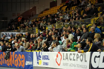Kibice