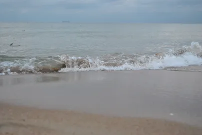 03.02.2013