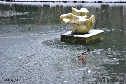 24.02.2013