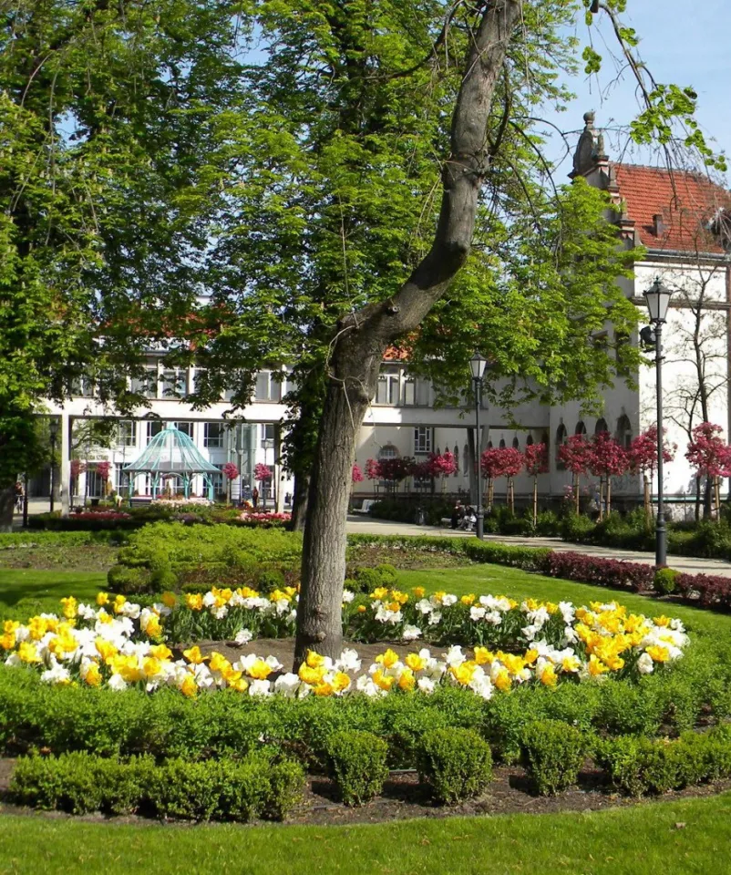 Sopot i tulipany
