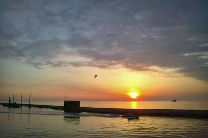 Gdynia świta