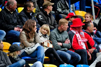 Kibice