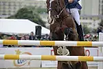 Alexis Trosch na Remonta Perforce Cooper