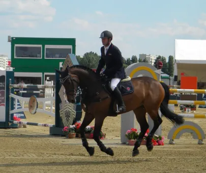 zawody CSIO,2013