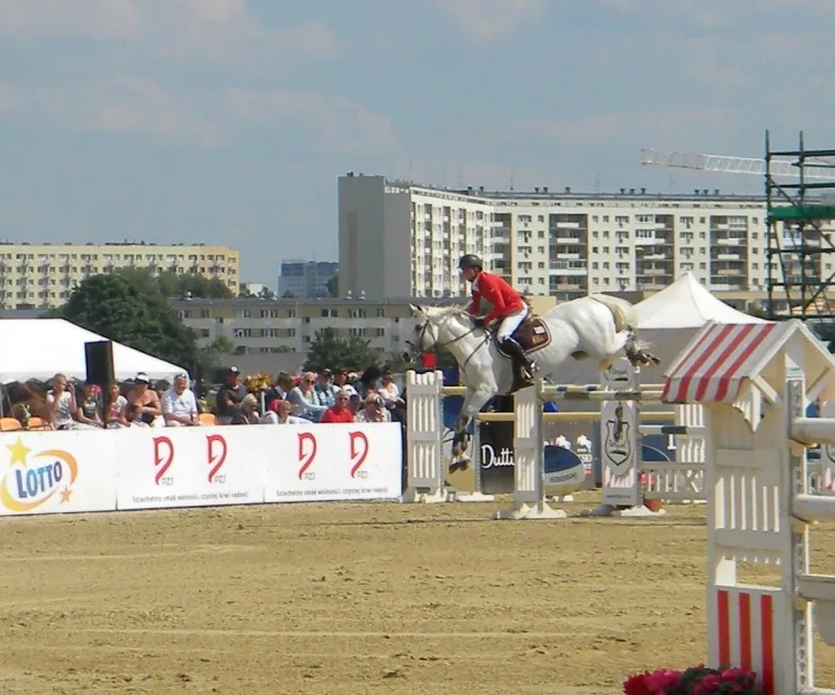 CSIO 2013