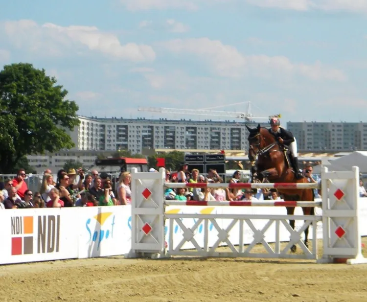 CSIO-a w tle Żabianka