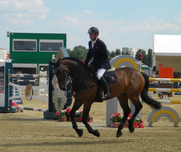zawody CSIO,2013