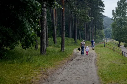 Ścieżka przy wejściach do lasu zachęca do spacerów