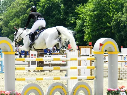 CSIO*** 2013