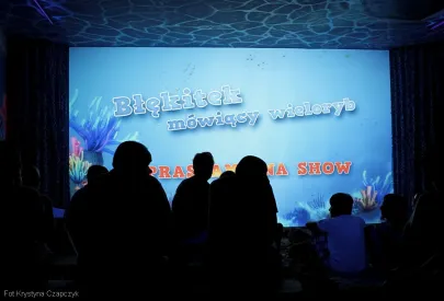 Interaktywne Show