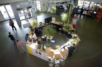 Życie festiwalowe