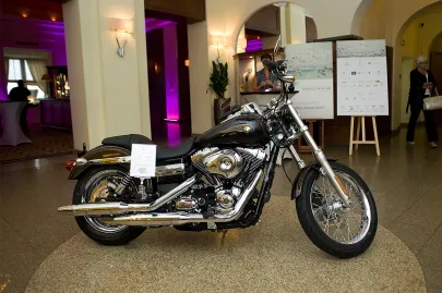 Harley - Davidson