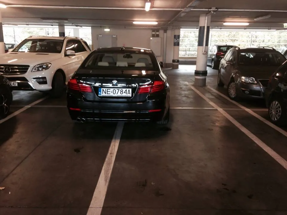 Łoś parkujący w Klifie