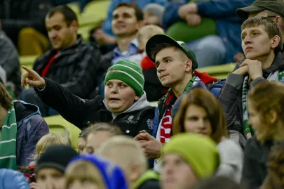 Kibice
