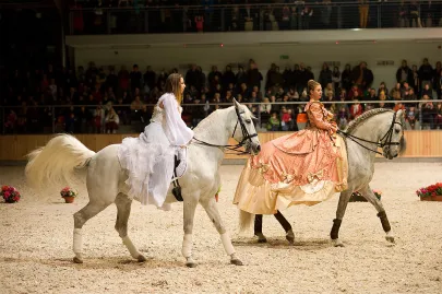 Występ Teatru Konnego "Cabriola"