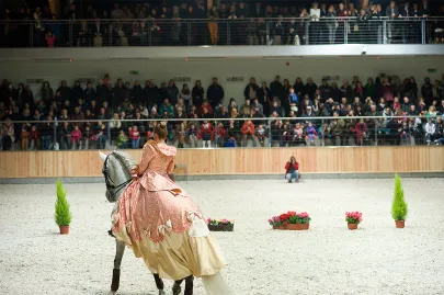 Występ Teatru Konnego "Cabriola"