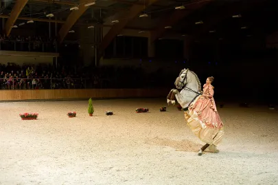 Występ Teatru Konnego "Cabriola"