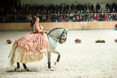 Występ Teatru Konnego "Cabriola"