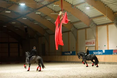 Występ Teatru Konnego "Cabriola"