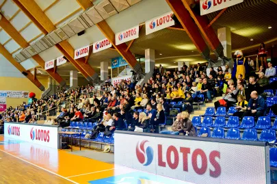 Kibice