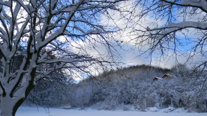 Podleśna Polana we Wrzeszczu