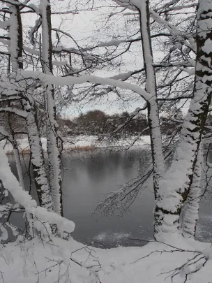 PIERWSZY ŚNIEG