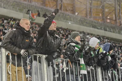 Kibice