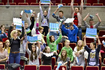Kibice