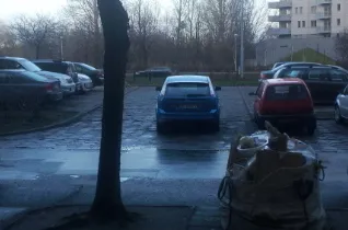 Łoś