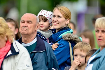 Kibice