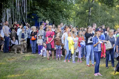 Publiczność