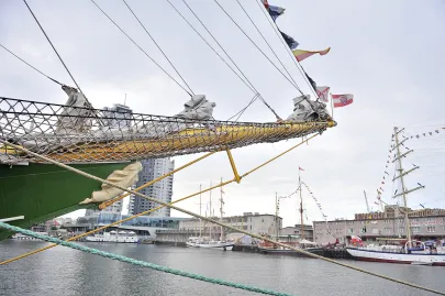 Alexander von Humboldt II
