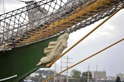 Alexander von Humboldt II