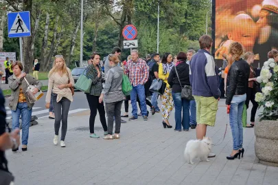 Życie festiwalowe