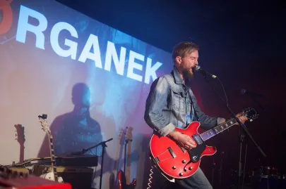 Organek