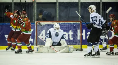MH Automatyka Stoczniowiec 2014 - Zagłębie Sosnowiec