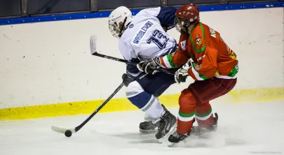 MH Automatyka Stoczniowiec 2014 - Zagłębie Sosnowiec