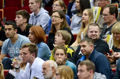 Kibice