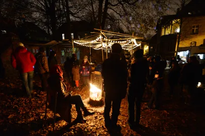 Narracje 2014 